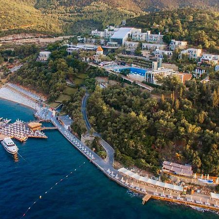 Duja Bodrum توربا المظهر الخارجي الصورة