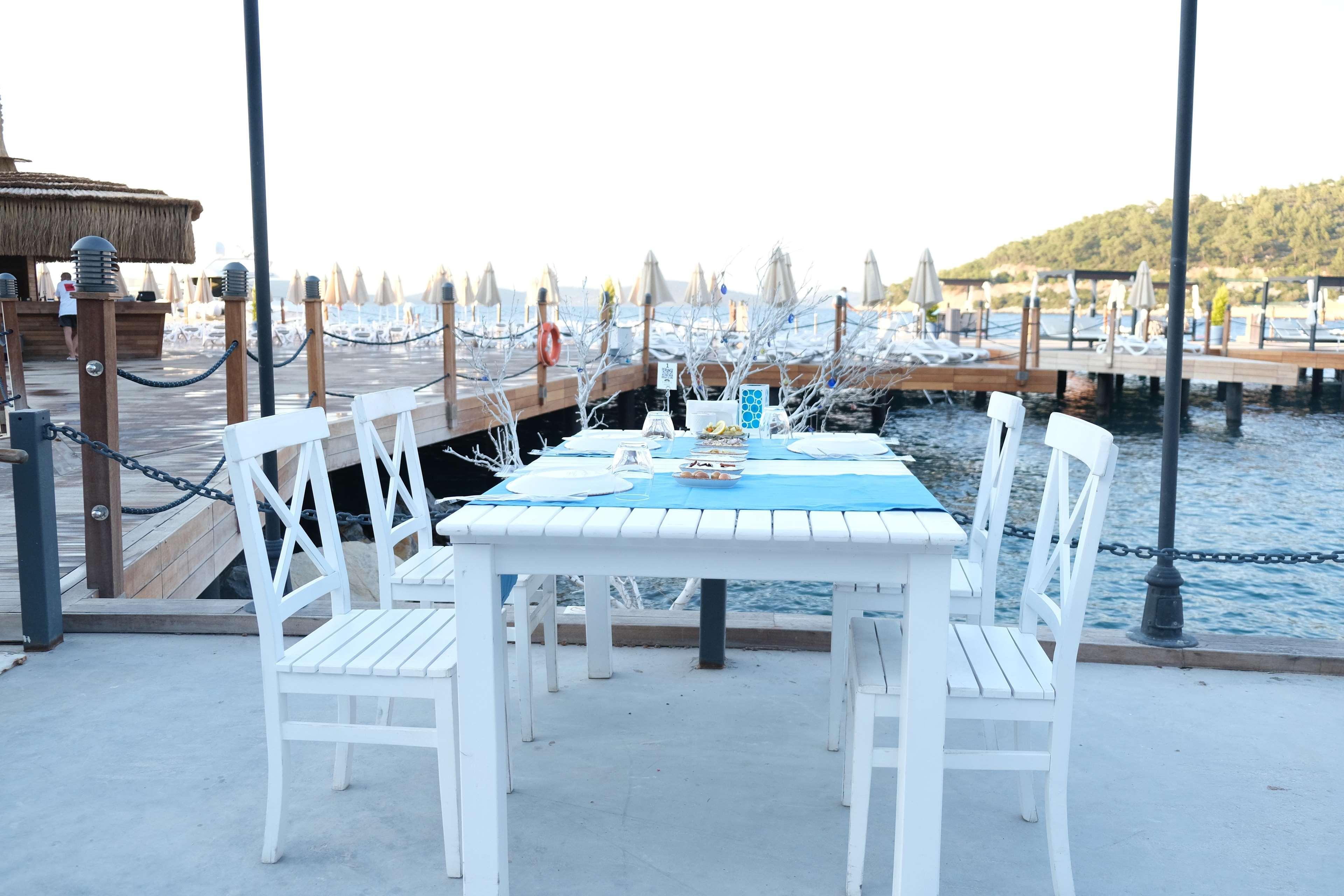 Duja Bodrum توربا المظهر الخارجي الصورة