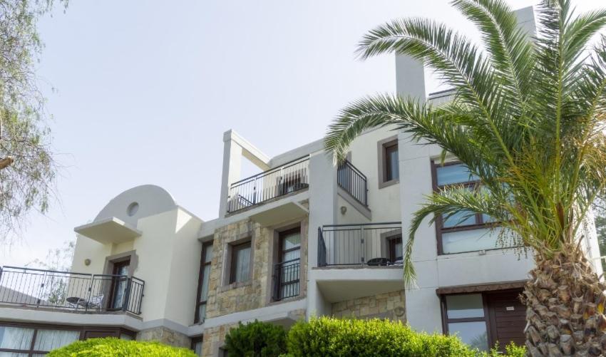 Duja Bodrum توربا المظهر الخارجي الصورة
